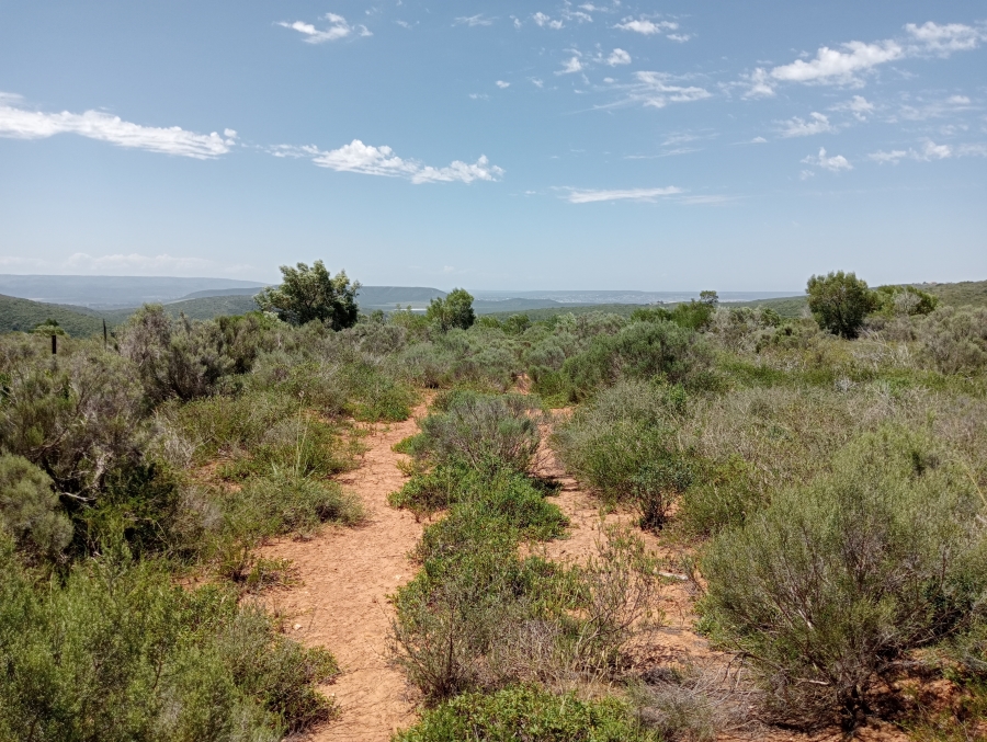 Commercial Property for Sale in Rocklands Eastern Cape